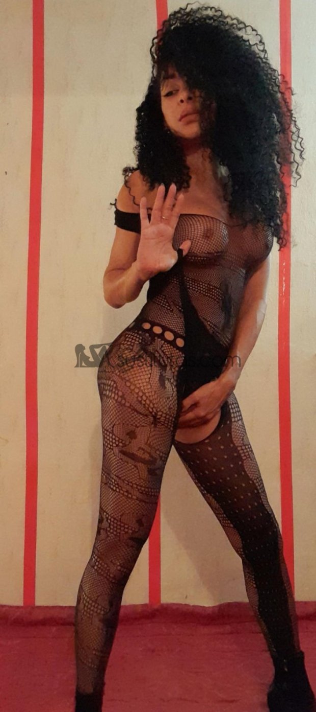 Queen  travesti y transexual en Tapachula